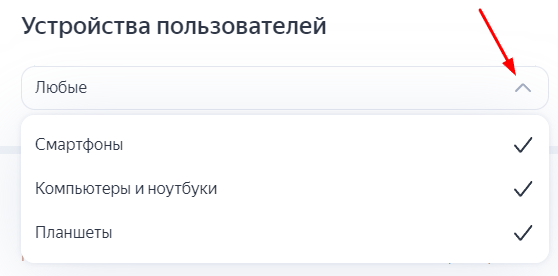 «Мастер кампаний» в Директе